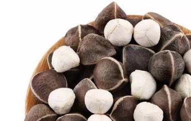 辣木籽的功效与作用 辣木籽的功效与作用辣木籽副作用