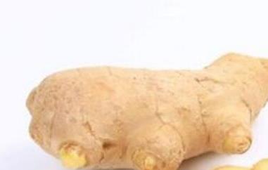 东材姜和普通姜的区别(东材姜百度百科)