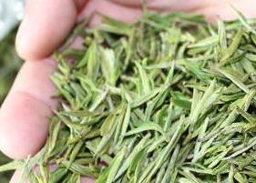 安吉白茶的保健功效有哪些（安吉白茶的保健功效有哪些品牌）