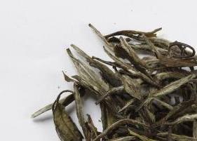 泡过的白茶叶的功效与作用（泡过的白茶叶的功效与作用是什么）