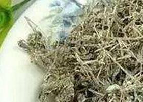 溪黄草茶可以常喝吗（喝溪黄草茶有什么好处）