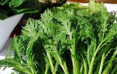 药茼蒿的功效与作用 茼蒿的功效有什么