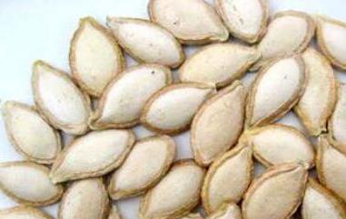 南瓜子能降血糖吗 南瓜子能降血糖吗?糖尿病人慎吃