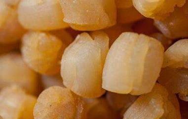 瑶柱怎么吃 海鲜瑶柱怎么吃