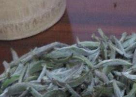 明前安吉白茶的功效和保存方法 安吉白茶怎样保存