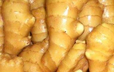 凤姜与普通姜的区别（凤姜与普通姜的区别图）