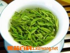 毛尖怎么喝（毛尖的正确喝法）