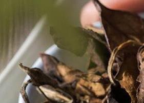 寿眉如何泡好喝 寿眉如何泡好喝又香