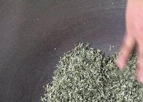 碧螺春的泡法（碧螺春的泡法的正确方法）