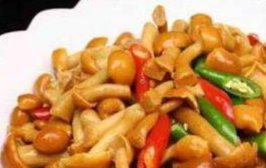 滑子菇怎么吃 滑子菇怎么吃最好吃