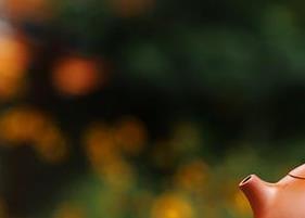 紫砂壶的茶垢怎么去除 紫砂壶的茶垢怎么去除小妙招