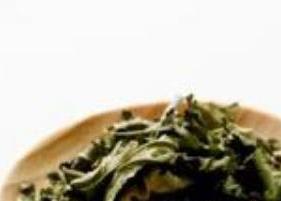 桑叶茶怎么泡 桑叶茶怎么泡制