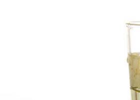 茉莉花茶的作用有哪些 茉莉花茶的作用有哪些呢