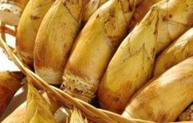 冬笋粉的功效和作用（广东冬笋粉的功效和作用）