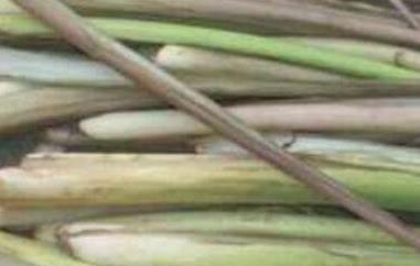 芋梗的功效与作用（芋梗的功效与作用及食用方法、副作用与禁忌）