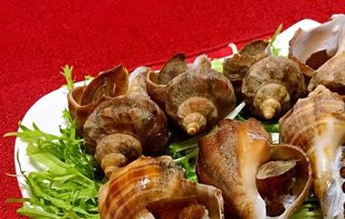 海螺怎么快速去沙 海螺怎么去沙能去干净