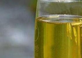 黄茶的养生功效与作用（黄茶的功效与作用）