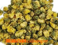 胎菊花茶的功效与禁忌（常喝胎菊花茶好不好）