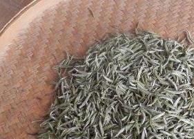 男生喝白茶有什么功效 男人喝白茶有哪些好处和坏处