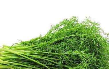 茴香菜怎么做好吃（茴香菜怎么做好吃凉菜）