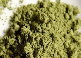 绿茶粉加酸奶减肥效果（绿茶粉加酸奶减肥吗）