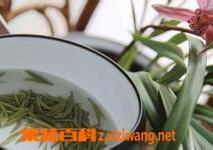 金山翠芽 金山翠芽属于什么茶