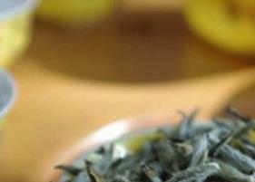 白毫银针陈茶好还是新茶好（白毫银针茶新茶好还是老茶好）