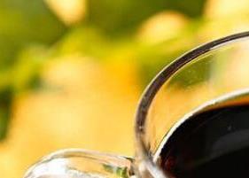 乌梅茶的功效与作用（洛神花乌梅茶的功效与作用）