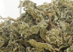 溪黄茶泡水为什么有点苦 溪黄茶有什么作用