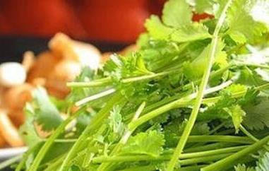 香菜煮水喝有什么功效 香菜煮水喝有什么功效和作用乡巴佬鸡蛋怎么做