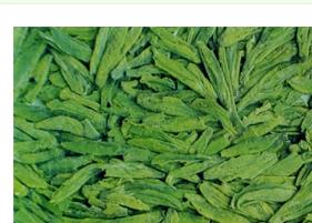 毛尖属于绿茶吗 都匀毛尖属于绿茶吗