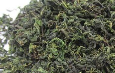 枸杞芽尖的功效与作用（枸杞芽尖茶叶的功效与作用）