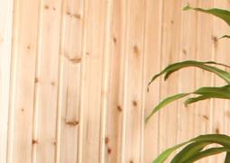 巴西木的养殖养护方法 巴西木的养殖方法和注意