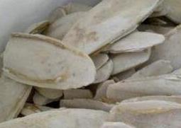 中药鱼古的功效与作用（中药鱼古是什么）