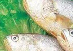 白姑鱼的功效与作用（白姑鱼的功效与作用禁忌）