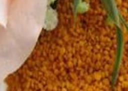 五味子花粉的功效与作用及禁忌 花粉的功效和禁忌