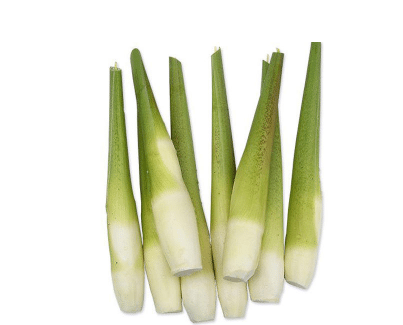 茭白良种选择技巧，茭白应该好养吗，怎么养殖