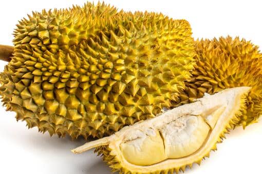 榴莲