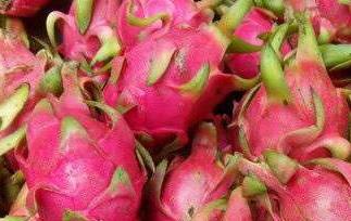 火龙果汁怎么做（火龙果汁怎么做好喝）