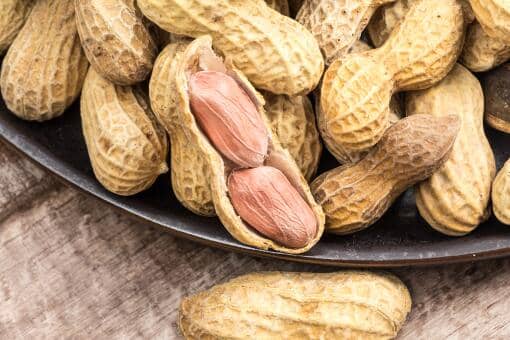 今年新花生价格多少钱一斤