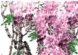 紫藤花图片和功效作用 紫藤花的功效与作用及吃法食疗