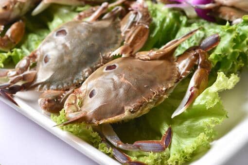 梭子蟹死了多久不能吃（梭子蟹死了多久不能吃 知乎）