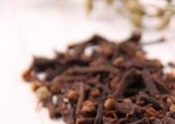 丁香香料的养殖方法与注意事项(丁香香料的养殖方法与注意事项图片)