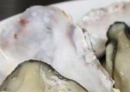 生蚝怎么吃 生蚝怎么吃最正确的方法视频