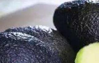 鳄梨怎么吃 鳄梨怎么吃最营养