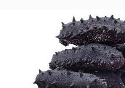 干海参的神奇功效有哪些 干海参的神奇功效有哪些图片