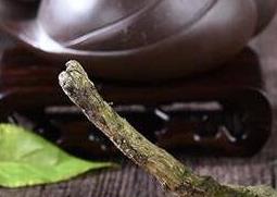 金丝皇菊的功效与作用（贡菊的功效与作用）
