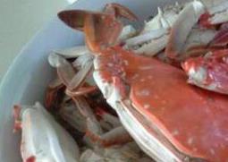 螃蟹不能和什么一起吃 螃蟹不能和什么一起吃食物相克