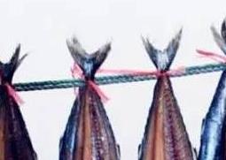 咸鲅鱼怎么腌制 咸鲅鱼怎么腌制的视频