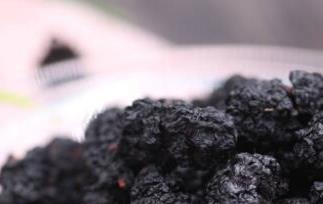 桑葚干的功效与作用 桑葚干的功效与作用禁忌